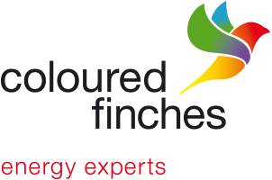 Coloured finches logo